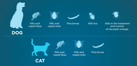 parasites seresto protect against in dogs and cats